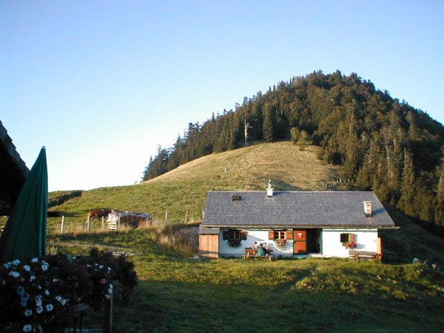 Appartements Ferienwohnungen Alpenblick Faistenau Buitenkant foto