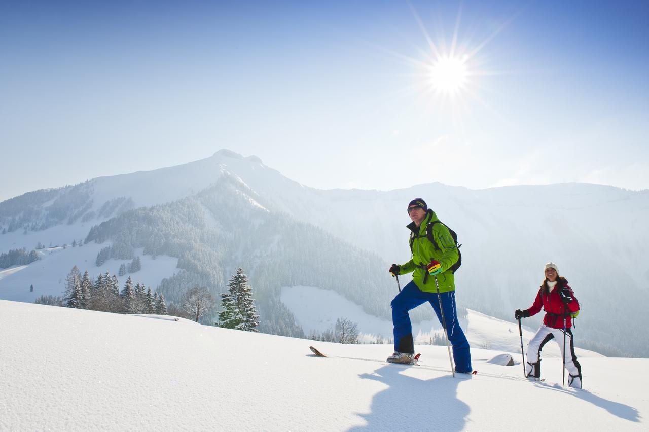 Appartements Ferienwohnungen Alpenblick Faistenau Buitenkant foto