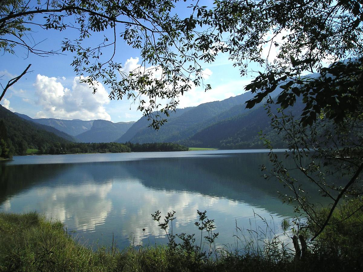 Appartements Ferienwohnungen Alpenblick Faistenau Buitenkant foto